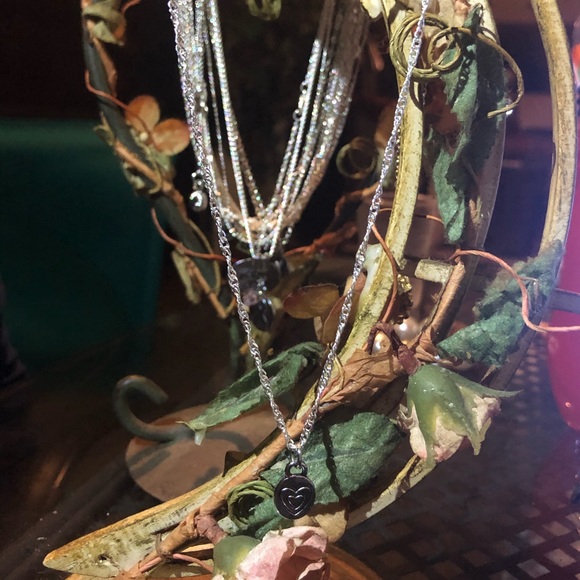 18” Silver Twisted Chain W/Double Heart ❤️ ChARm♾ - Picture 5 of 7